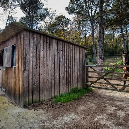 Tatil Evi Pauet Vidreres