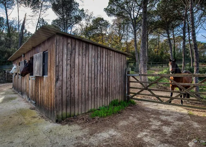 Pauet Vakantiehuis